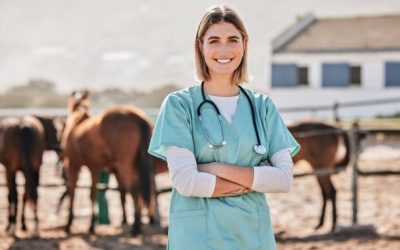 How Do Equine Hospitals Handle Emergency Cases?