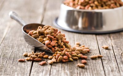 How to Choose Foods for Your Growing Pet?