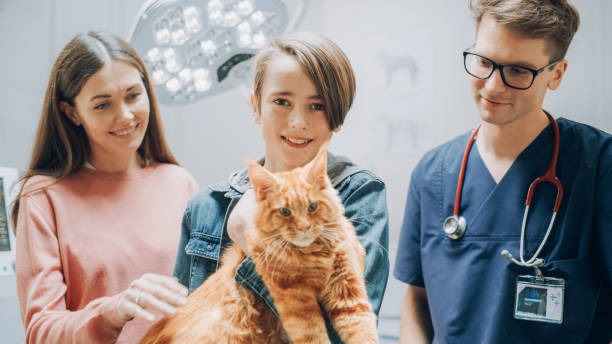 How Do Full-Service Animal Hospitals Benefit Your Pets?