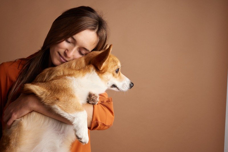 What Types of Preventative Care Do Vets Recommend?