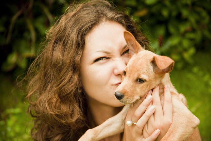 How to Understand Your Pet’s Diagnostic Laboratory Results